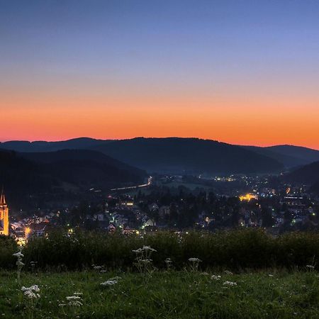 Drei Tannen - Wohnung 04 - Apartmenthaus, Titisee, Nahe Badeparadies Kültér fotó