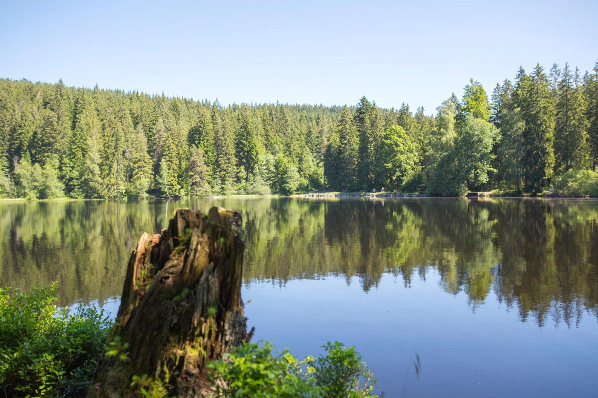 Drei Tannen - Wohnung 04 - Apartmenthaus, Titisee, Nahe Badeparadies Kültér fotó