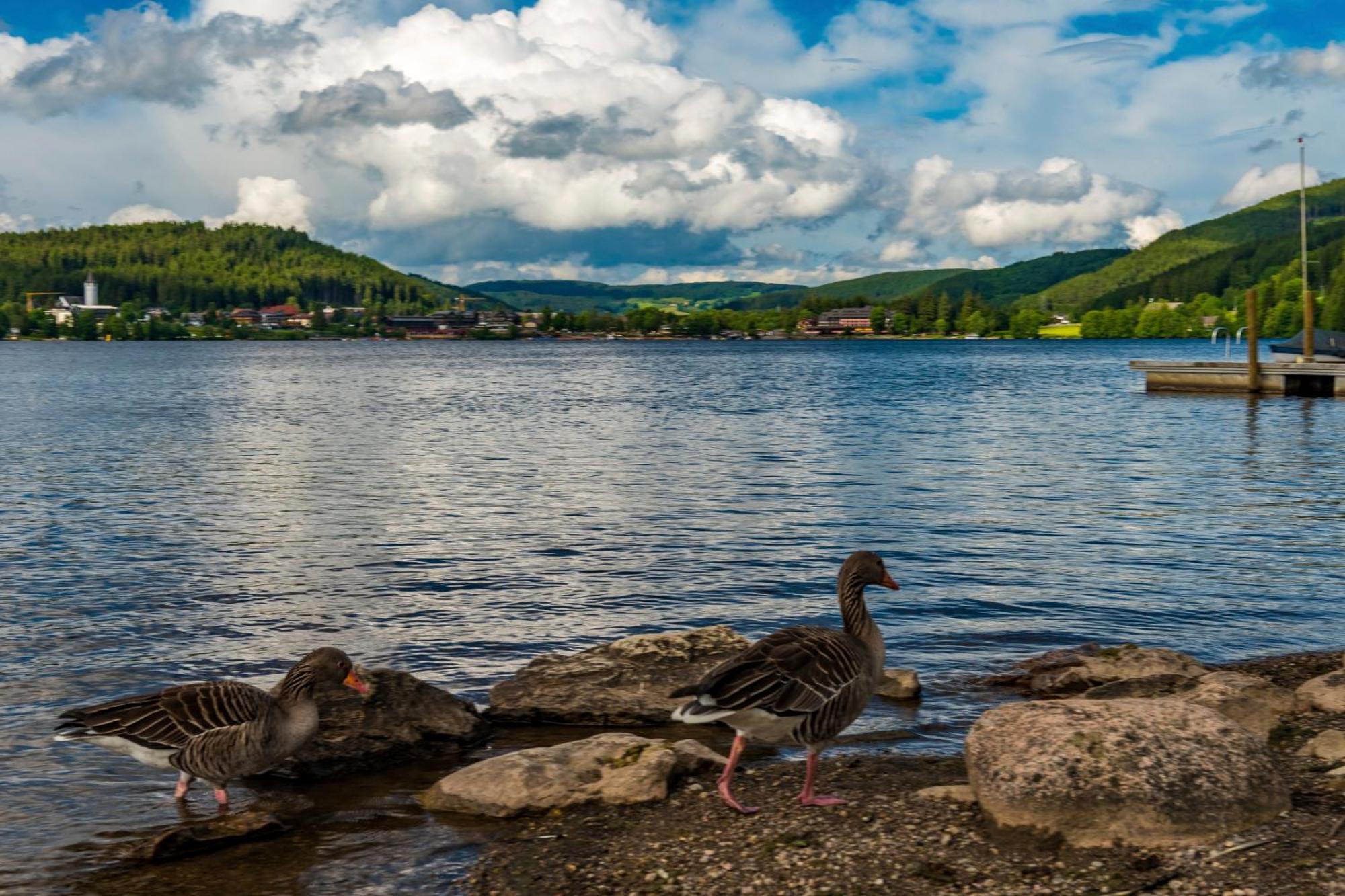 Drei Tannen - Wohnung 04 - Apartmenthaus, Titisee, Nahe Badeparadies Kültér fotó